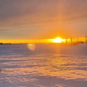 Meet your Posher, Sheila